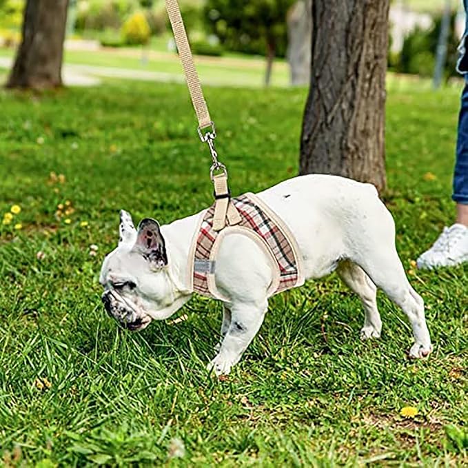 PUPTECK Adjustable Dog Harness Collar and Leash Set Step in No Pull Pet Harness for Small Medium Dogs Puppy and Cats Outdoor Walking Running, Soft Mesh Padded Reflective Vest Harnesses, Khaki XL