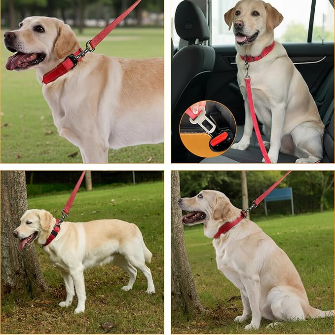 Annchwool Adjustable Dog Collar and 5FT Leash Set with Heavy Duty Metal Buckle–Comfortable Lining Reflective Collar & Dual-Handles for Small Medium Large Dogs Walking,Running,(Red Set,L:17''-23'')
