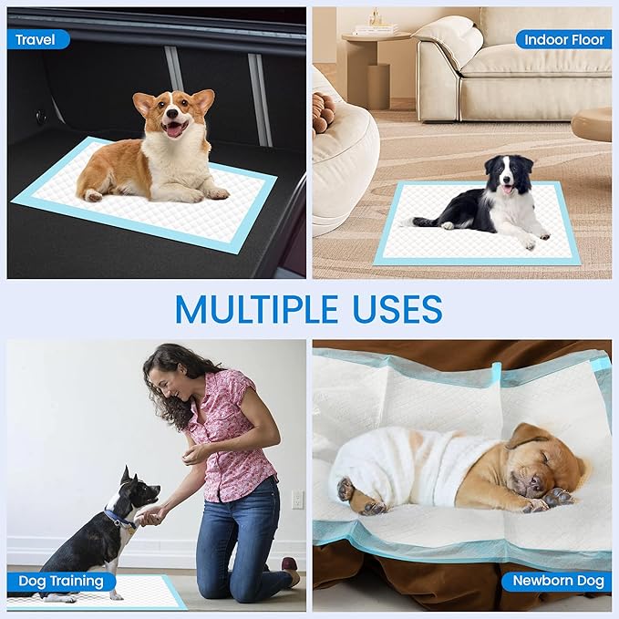 22" x 23" Pee Pads for Dogs, 6 Layers Super Absorbent Training Puppy Pads, Leak Proof Quick Drying Pet Pee Pads, Wee Wee Pads for Dogs - 30 Count