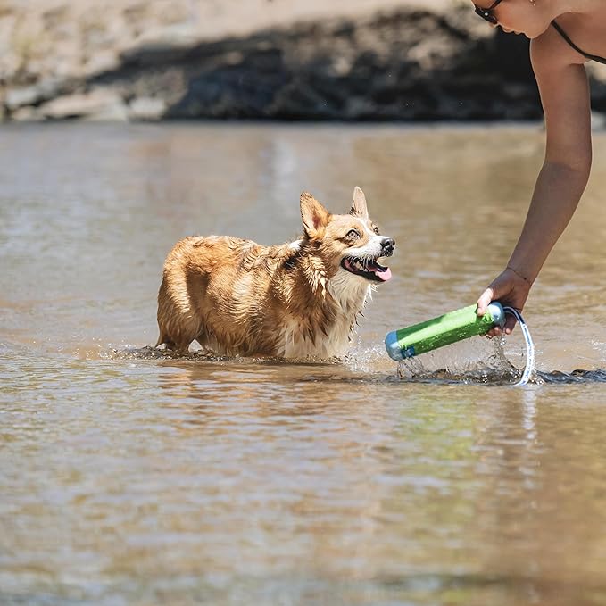 Chuckit! Amphibious Bumper Floating Fetch Dog Toy For Waterplay, Small For Dogs Up To 60 lb, 1.62"L x 8.5” H x 3.5" W, Assorted