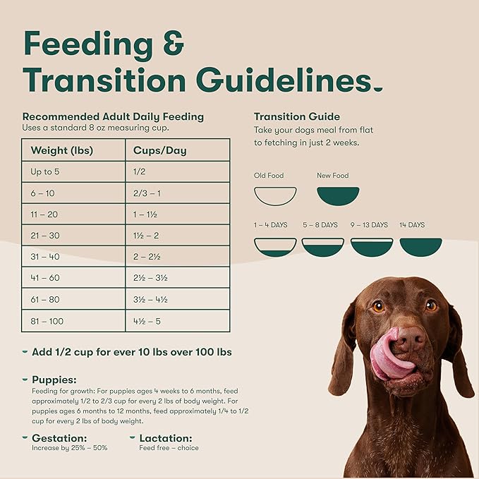 Jinx Premium Dry Dog Food, for All Lifestages - Real Beef, Brown Rice & Sweet Potato Kibble with Superfoods for Immune Support & Probiotics for Digestive Support - No Fillers - 4lb (Pack of 2)