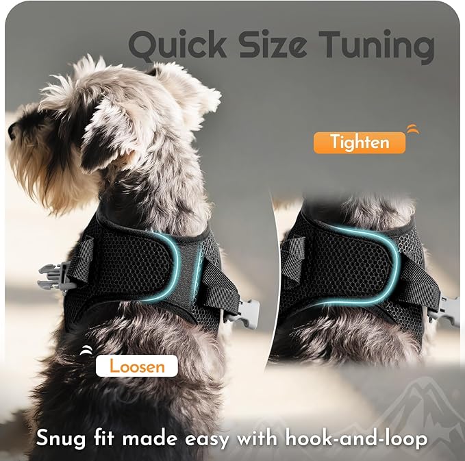 Eagloo Small Dog Harness and Leash Set, Step in Puppy Vest with Breathable Soft Mesh, Walking Reflective Pet Harness for Extra Small Dogs, Black, XXS