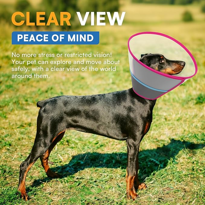 Queenmore Dog Cones for Large Dogs Soft Pet Recovery Collar After Surgery, Adjustable Dog Neck Cone Surgical Elizabeth E-Collar Prevent Biting and Stop Licking Wound, Rose Red XL
