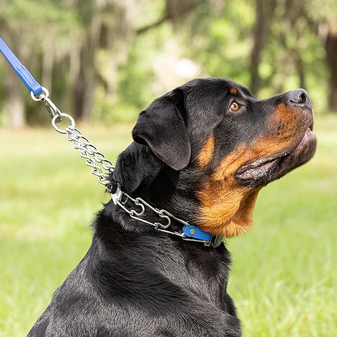 Herm Sprenger Chrome Plated Steel Dog Collar with Quick Release ClicLock Buckle O-Ring Biothane Insert Training Collar Made in Germany (Cerulean Blue, 25in x 4.0mm(Neck Size up to21-22in))
