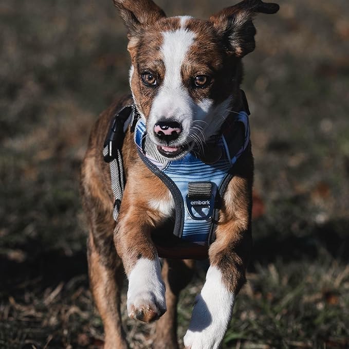 Embark Adventure Small Dog Harness – No-Pull, Reflective Trim, Military-Grade Nylon, Front Clip with Gel-Lined Handle