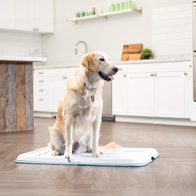 IRIS USA Pee Pad Holder for Dogs and Puppies, Potty Training Tray with Secured Latches, Non-Skid Feet, Leak Protection, Easy Clean Surface, Fits 28"x 34" Puppy Pads Size or Larger, Blue