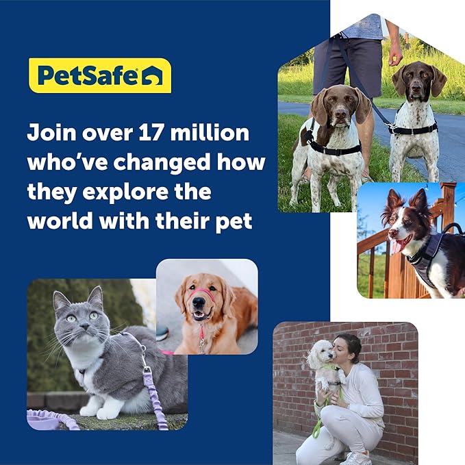 PetSafe Easy Walk Harness for Dogs - Pull-Free Walks - Patented Martingale Loop Design - Front Chest Leash Attachment - Comfort Straps - Breathable Harness Design - Small, Apple Green/Gray