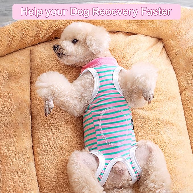 Coppthinktu Recovery Suit for Dogs After Surgery, Dog Onesie Surgery Recovery Suit for Female Spay, Soft Surgical Pajamas Bodysuits for Puppy to Prevent Licking Dog Cone Alternative Dots M