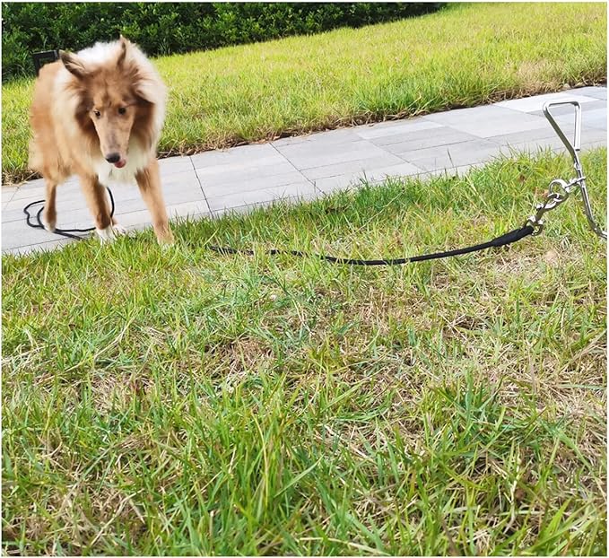 Tie Out Rope Dog Leash, 15-20-30-50-65 FT Heavy Duty Nylon Check Cord for Medium Large Dogs Indoor/Outdoor Playing Camping Backyard (Orange, 3/8" x 30ft)