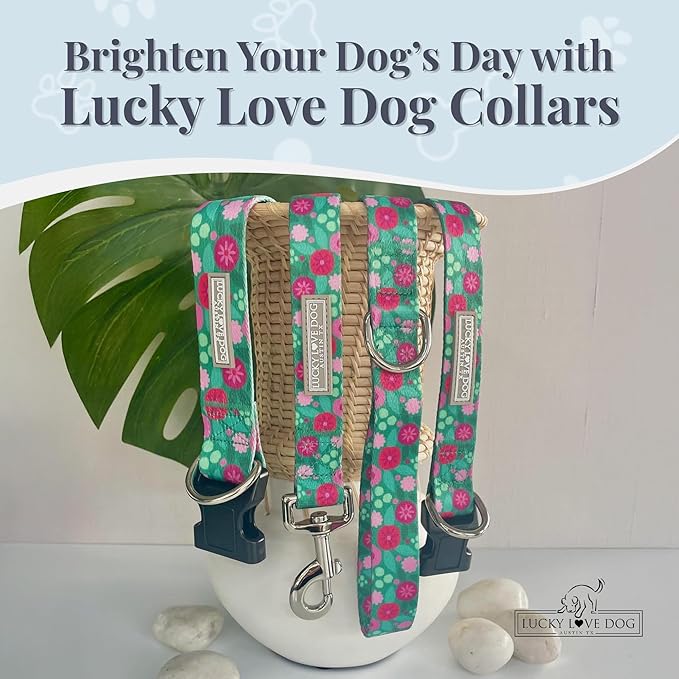 Lucky Love Dog - Adjustable Dog Collar with Easy Click Buckle for Medium Dogs, Durable, & Comfortable for Male & Female Dogs, Pet Collar for Puppies & Adult Ones - Penny, Medium
