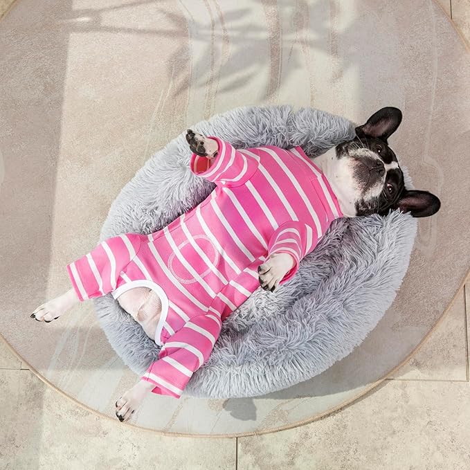 Dog Surgery Recovery Suit for Male/Female, Post-Op Shirt, Bodysuit, E-Collar & Cone Alternative, Anti-Licking Snugly Onesie