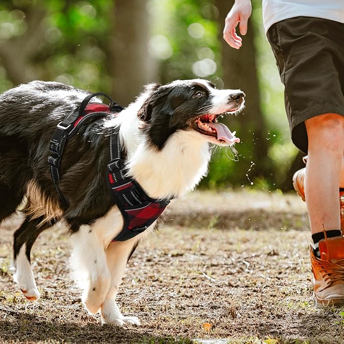 rabbitgoo Dog Harness No Pull with 2 Leash Clips, Adjustable Soft Padded, Reflective Oxford No Choke Pet Vest with Easy Control Handle for Medium Sized Dogs, Red Plaid, M
