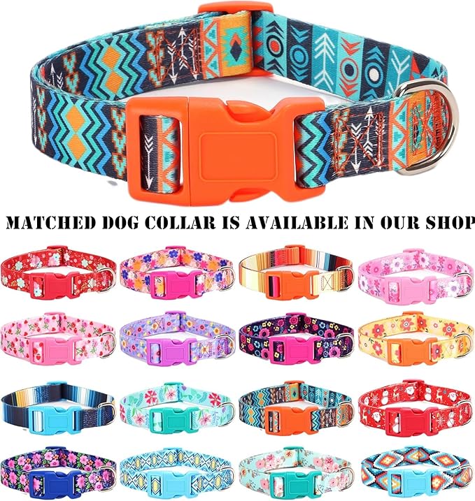 Moonpet Step in Boy Dog Harness Leash Set- All Weather Reflective No-Pull Padded Mesh Vest Harness for Cats Puppy Extra-Small Small Medium Large Dogs - Mayan Mysteries - XS