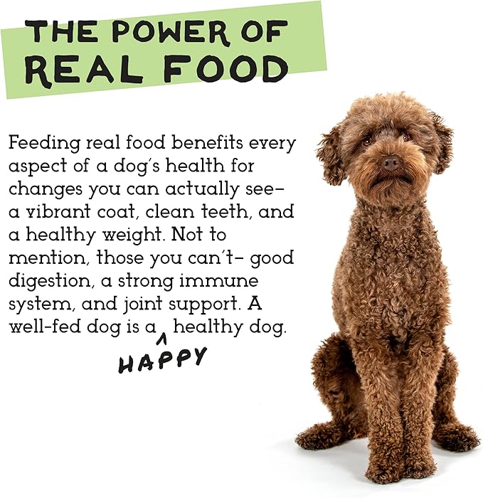 Simple Food Project - Beef & Salmon Recipe - Freeze Dried Raw Food for Dogs - 48oz