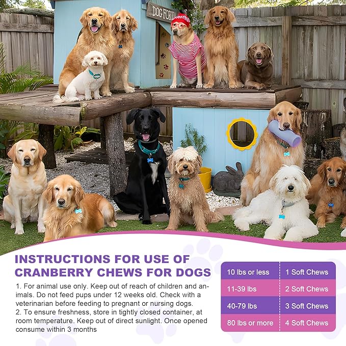Dog Uti Treatment Cranberry Supplement for Dogs 200 Chews Urinary Tract Medicine Bladder Control Pills Kidney Support Cranberrys Extract Bites Uti Infection Treats Incontinence Remedy for Dogs Chicken