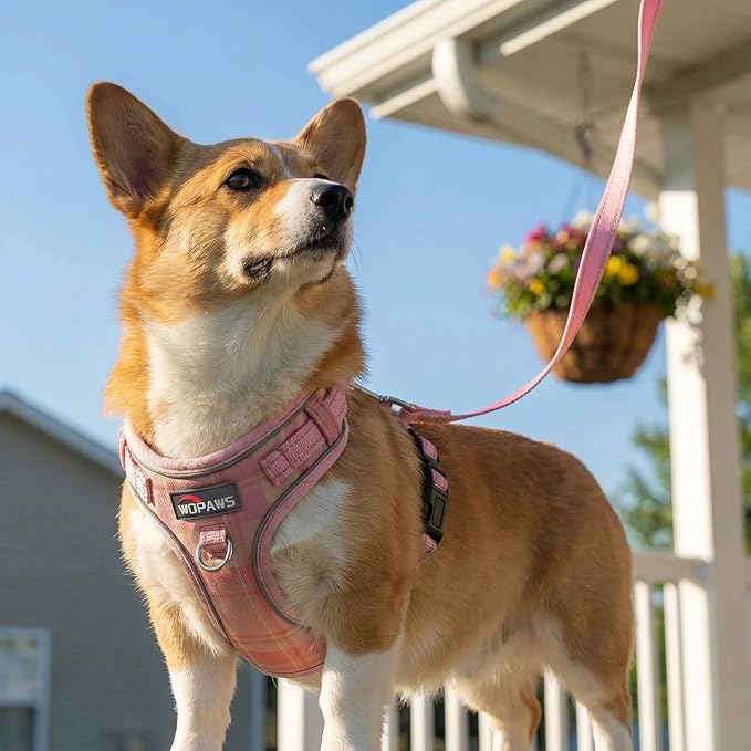 No Pull Dog Harness and Leash Set-Reflective Plaid Design, Adjustable & Comfortable with Front D Ring for Small Medium Dogs (M, Pink Plaid)