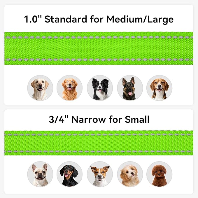 Joytale Dog Leash, 5 FT Double-Sided Reflective, Padded Handle Nylon Heavy Duty Leashes for Medium & Large Dogs Walking, Green