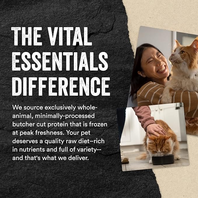 Vital Essentials Freeze Dried Raw Cat Treats | Chicken Giblets | 1 oz | Pack of 2