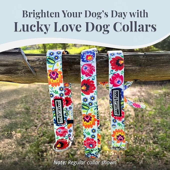 Lucky Love Dog Martingale Dog Collar - Adjustable, No-Slip, Durable, & Soft Webbing Collar for Male and Female Dogs Ideal for Training & Walking - Ladybird, Large