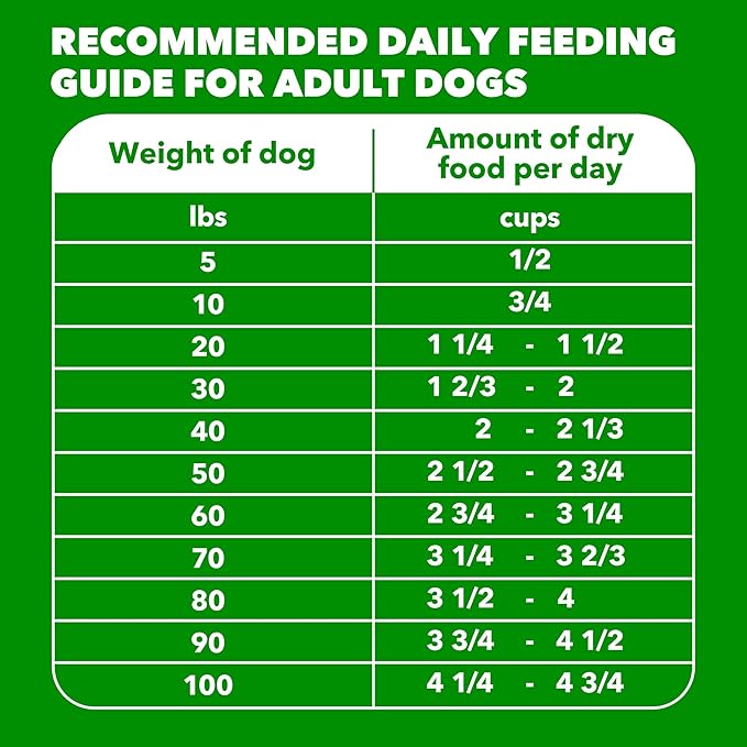 IAMS Proactive Health Dry Dog Food, Adult Dog Food Dry Recipe, Beef & Rice Recipe, 15 lb. Bag
