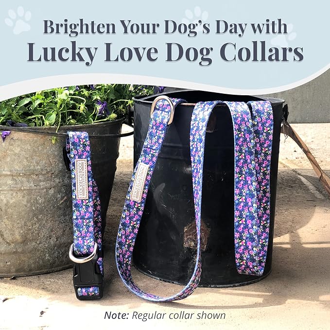 Lucky Love Dog Martingale Dog Collar - Adjustable, No-Slip, Durable, & Soft Webbing Collar for Male and Female Dogs Ideal for Training & Walking - Primrose, Medium