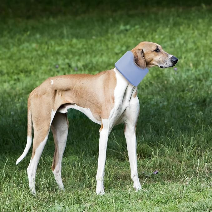 Dog Neck Brace for Pet After Surgery Recovery Adjustable Breathable Neck Cervical Cone,Dog Cone Collar Recovery Head Cone for Small Medium Dogs Puppies Kittens with Spinal IVDD Lssues