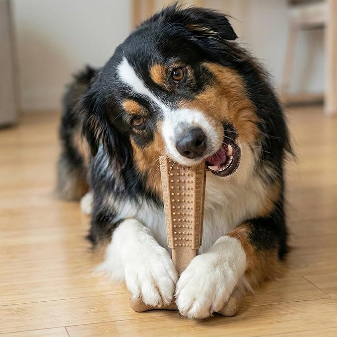 SPOT Bam-Bones Plus T-Bone Dog Chew Toy, Bamboo Fiber & Nylon, Chicken Flavor, Durable Non-Splintering Chew for Moderate to Aggressive Chewers, Dogs 30-60 lbs, 6 Inch
