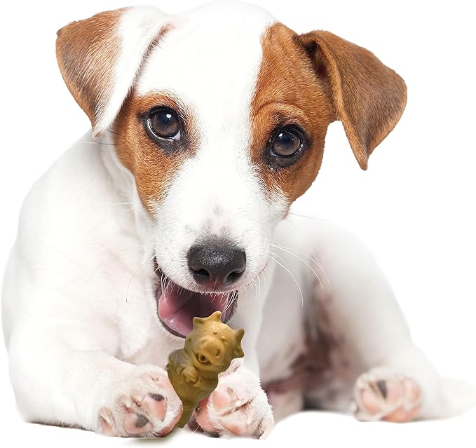 Nylabone Healthy Edibles Natural Puppy Chews Long Lasting Treats for Puppies, Lamb & Apple Flavor, Small/Regular (12 Count)