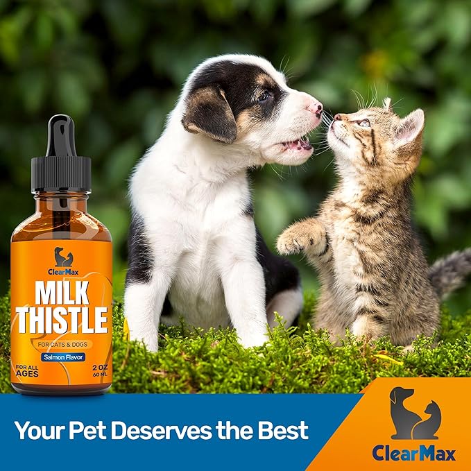 Milk Thistle for Dogs β Liver & Kidney Support for Large & Small Pets β Milk Thistle for Cats to Care for Digestion β Specialist-Approved Liquid Formula with Salmon Flavor β GMO Free β 2 Oz Bottle
