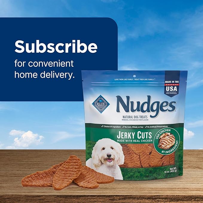 Blue Buffalo Nudges Jerky Bites Dog Treats, Made in the USA with Natural Ingredients, Bite-Sized Pieces, Chicken, 16-oz Bag