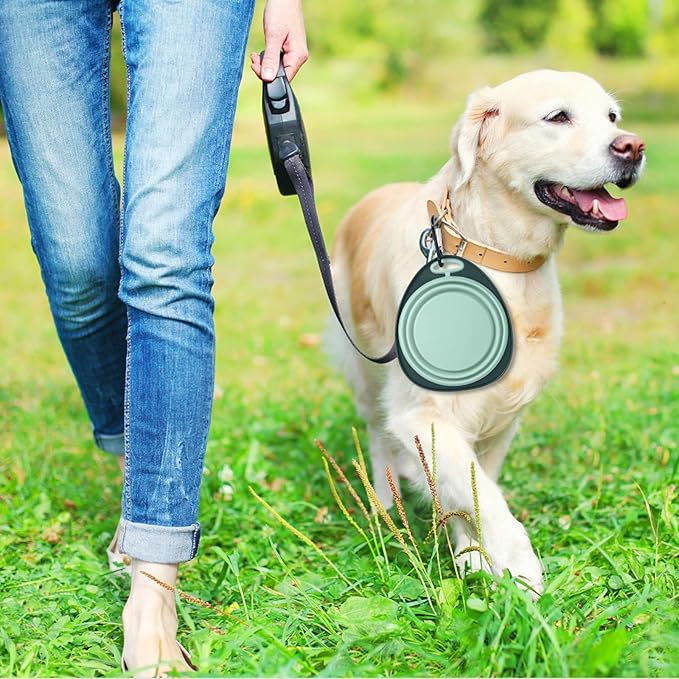 LEAWALK Reusable Pet Collapsible Bowls 2 Pack for Cats Dogs, Portable Pet Feeding Watering Dish with 2 Carabiners for Walking Parking Traveling Indoor, (Medium Blue+Green)