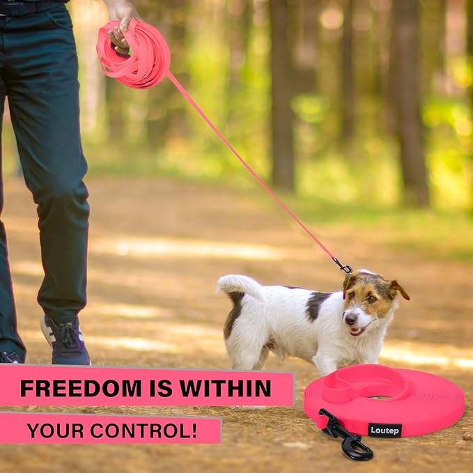 Dog Training Leash - Long Line for Recall & Obedience, Nylon Training Lead with Padded Handle, 15 ft / 20 ft / 30 ft / 50 ft / 100 ft - Long Leash for Dogs Outside, Small/Medium/Large