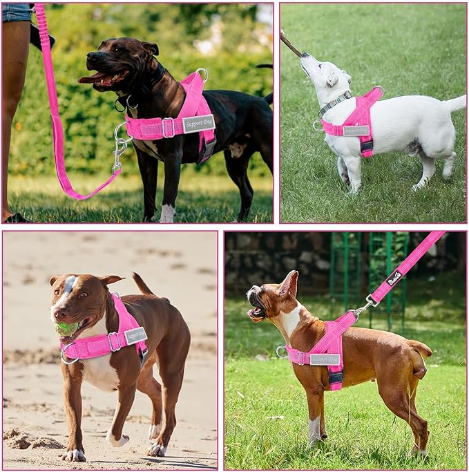 SlowTon No Pull Dog Harness - Heavy Duty Dog Harness and Leash Set for Medium Large Dogs, Reflective Tactical Harness with Soft Padded and Front Clip for Easy Walk and Training (FU, M