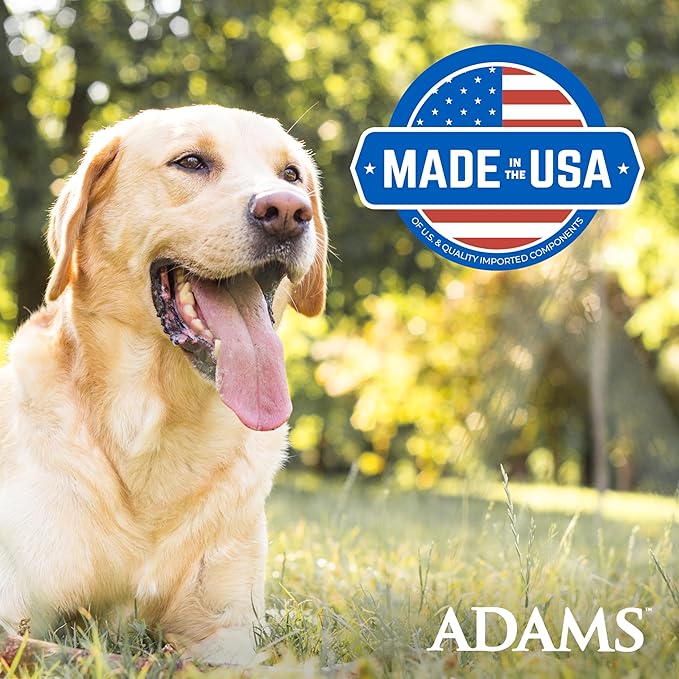 ADAMS Flea & Tick Home Spray for Indoor House Treatment, Kills Bed Bugs, Fleas, & Ticks, for Carpet, Furniture & Pet Bedding, Controls Fleas, Ticks, Bed Bugs, Cockroaches, Spiders & Mosquitoes, 8 oz
