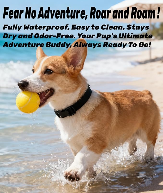 Waterproof Dog Collar, Rubber Adjustable Collars with Quick Release Buckle, Odor-Resistant, Easy to Clean Pet Collars for Small Medium or Large Dogs (Turquoise, S 9.5-14.1 inch)