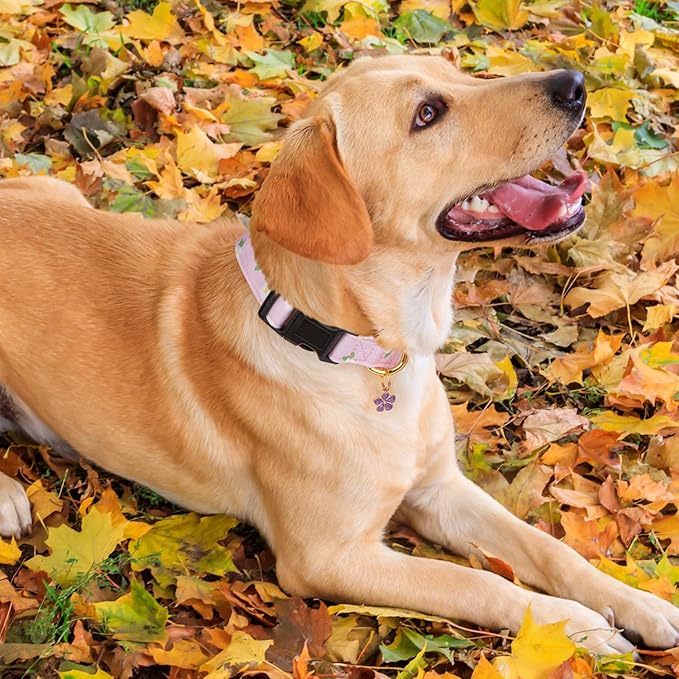 Cotton Handmade Dog Collar Cute and Distinctive Patterns Purple Flower with Pendant for Girl Boy Dogs Collars M