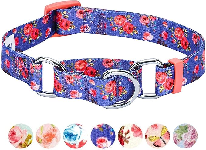 Blueberry Pet Spring Scent Inspired Rose Print Martingale Safety Training Dog Collar, Irish Blue, Small, Heavy Duty Adjustable Collars for Dogs
