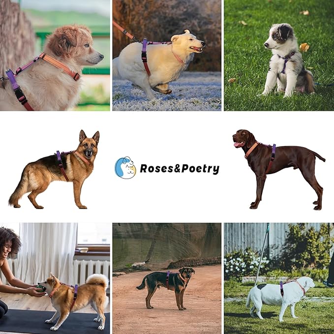 Roses&Poetry Small Dog Harness and Leash Set, No Pull Dog Harness Adjustable Reflective, Dog Halter Harnesses Comfort Padded Handle, Pet Harness for Training Outdoor Walking(Mistyrose-S