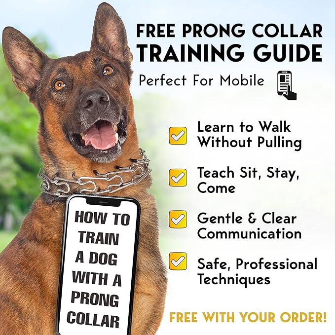 PetJett Prong Collar for Dogs - Adjustable Training Collar No Pull Choke Collar for Dogs, Pinch Collar for Dog, Walking Tool for Small, Medium, or Large Breed - Stainless Steel Metal Choker Chain