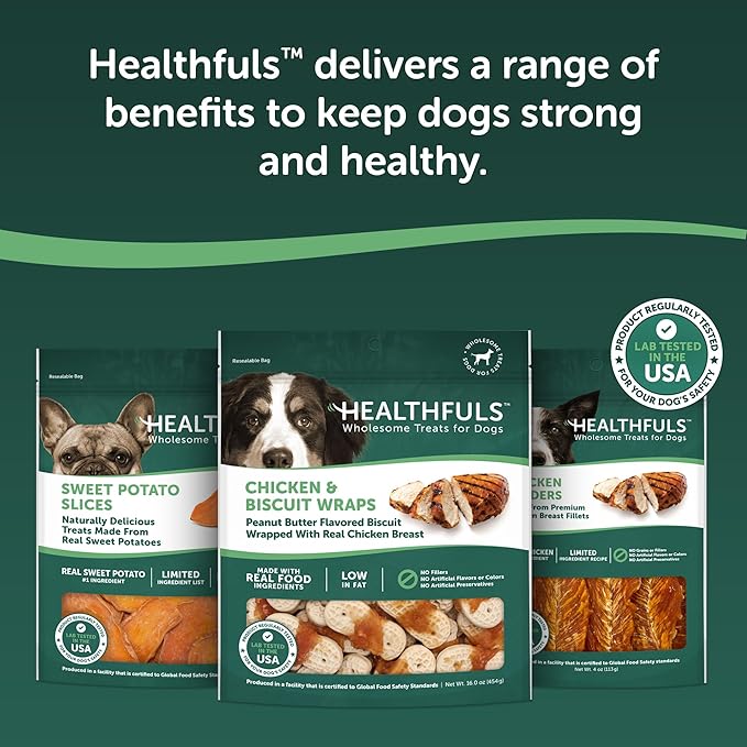 HEALTHFULS Chicken & Peanut Butter Flavored Dog Biscuits,16oz,(Pack of 2)