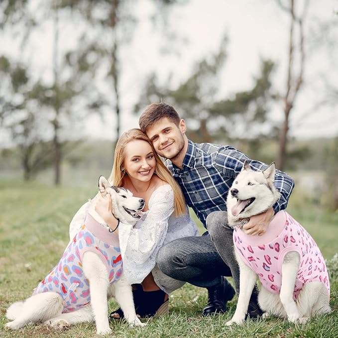 SAWMONG 2 Pack Dog Surgery Recovery Suit, Leopard Recovery Suit for Dogs After Surgery, Soft Polyester Spay Surgical Suit Female Male, Dog Onesie Body Suit Substitute Cone Alternative,M