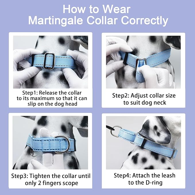 Reflective Martingale Collar for Dogs Nylon Training Collar with No Buckle, No Pull Escape Proof Dog Collar for Medium Dogs(Blue Stripe,M)