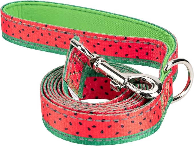 EcoBark Dog Leash - Soft & Reflective Comfort Leashes with Padded Handle - Safe, Strong, & Durable for Small, Medium or Large Dogs (Watermelon)