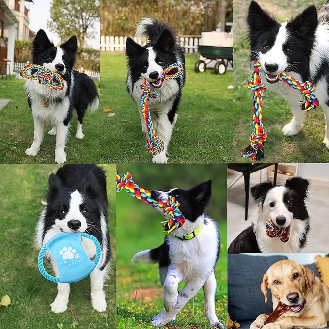 XLMYS Dog Toys for Aggressive Chewers 13 Pack,Indestructible Tug of War Toys for Small, Medium, Large Dog Breeds, Teeth Cleaning Chew Toys Pet Interactive Rope Toys