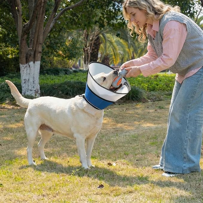 Avont Dog Cone Collar After Surgery, Alternative Adjustable Elizabeth Cone for Medium Large Dogs, Comfy Breathable Pet Recovery Collar to Stop Licking -Blue(M)