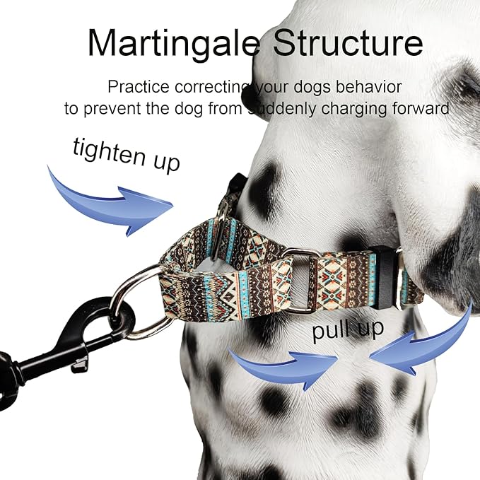 Martingale Dog Collar with Buckle Tribal Design Adjustable Escape Proof Pet Collars (Aztec, Large)