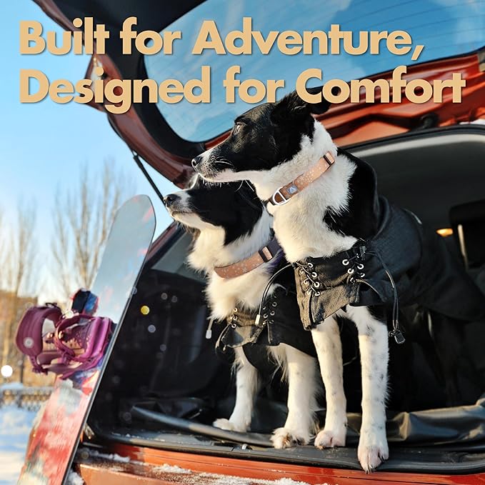 Fall Dog Collar, Cute Star Pattern Brown Collars for Girl & Boy,Reflective,Soft Padded Neoprene,Fully Adjustable,Durable & Lightweight Large Dog Collar, (Star, L)