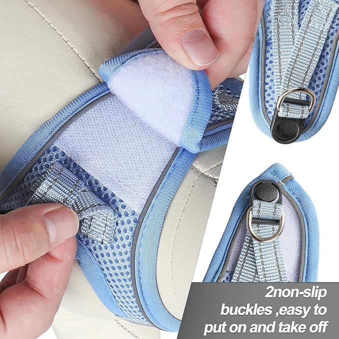 Dog Harness for Small Dogs and Leash Set, Honeycomb Grid, Reflective Lightweight Harness & Anti-Twist Pet Lead Multi Color, Size: XS-S-M. (XS, Aqua Blue)