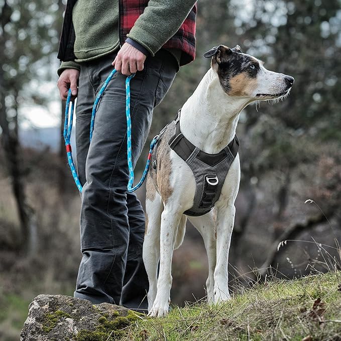Kurgo Journey Air Dog Harness - Secure Fit for Active Dogs - Padded Chest - Lightweight Ripstop Fabric - Breathable Mesh - Reflective Trim - Back Assist Handle - Black - Large