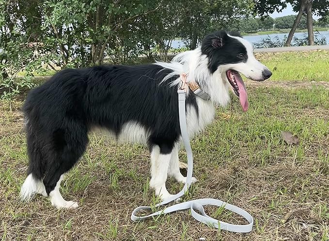 Dog Collar and Leash Set.Soft and Easy to Clean Vegan Leather with Rose Gold Metal Buckle for Small Medium Large Dogs (Grey, S(12.2"-16.9"))